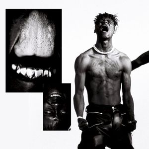 GAS CHAMBER (Single)