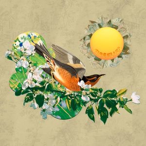 Fireflies (Single)
