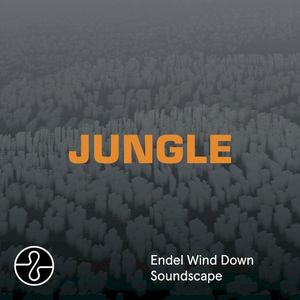 JUNGLE (Wind Down Soundscape)
