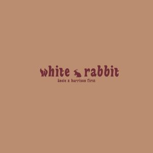 white rabbit (Single)