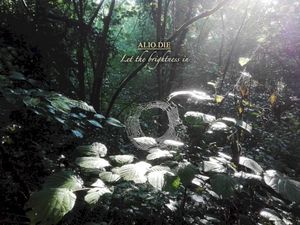 Let the brightness in