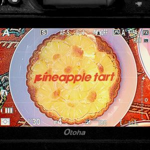 pineapple tart (Single)