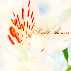 Light Aromas
