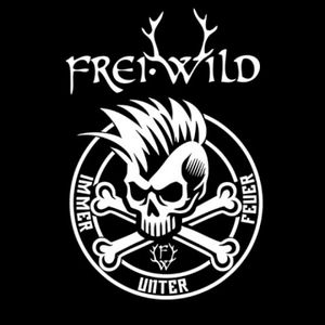 Immer unter Feuer (Single)