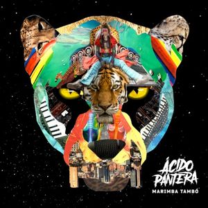 Marimba Tambó (Single)
