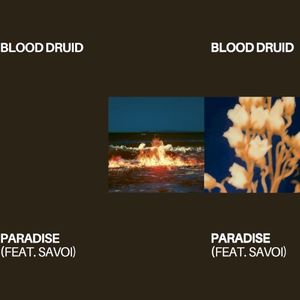 Paradise