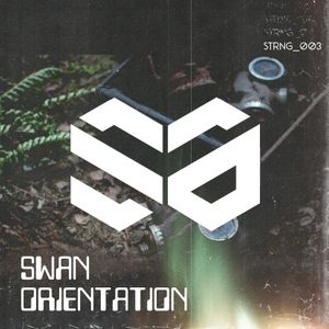 Swan Orientation (Single)