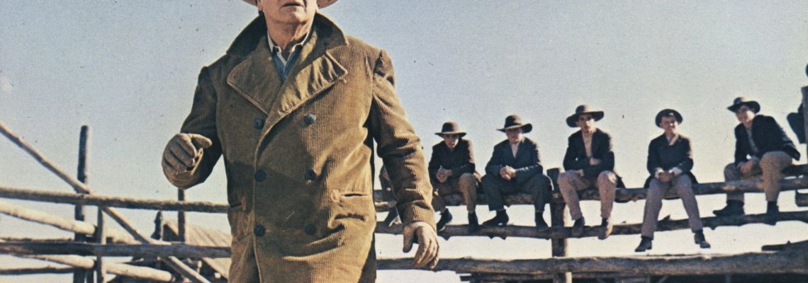 Cover Les Cowboys