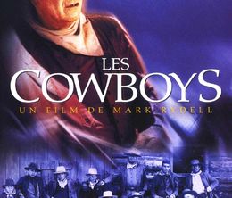 image-https://media.senscritique.com/media/000022823186/0/les_cowboys.jpg