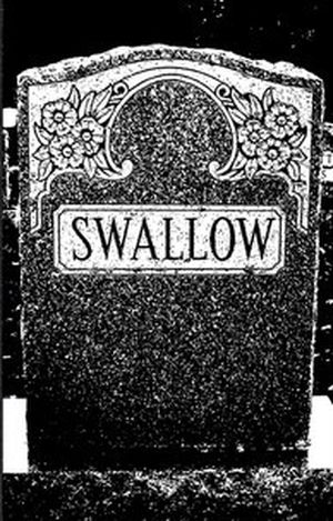Swallow (EP)