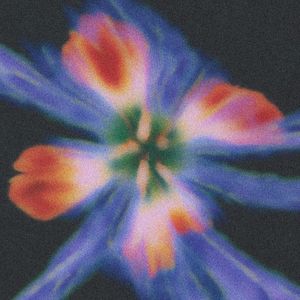 Used To Know (Single)