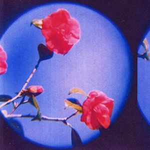 In Luv (Single)