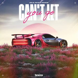 Can't Let You Go (Single)