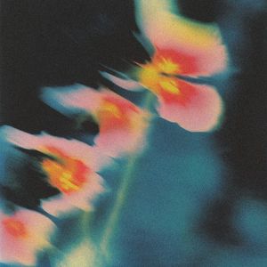 Silence // Into Essence (Single)