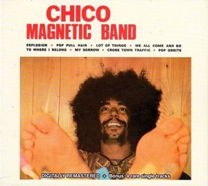 Chico Magnetic Band