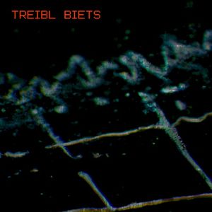 Treibl Biets
