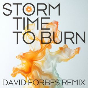 Time to Burn - David Forbes Remix (Single)