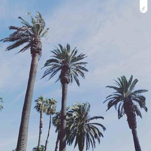 Guinguette (Single)
