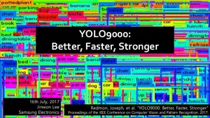 What do you see YOLO9000 ?
