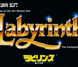 image-https://media.senscritique.com/media/000022824520/0/labyrinth.jpg