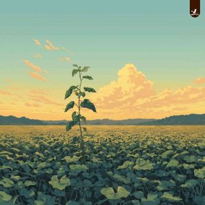 grow & glow (Single)