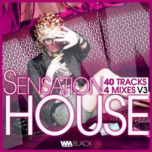 Sensation House, Vol. 3