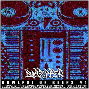 System Disintergration Unit