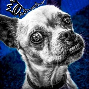 Андердог (Single)