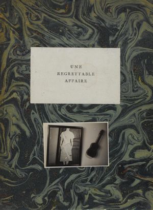 Une regrettable affaire