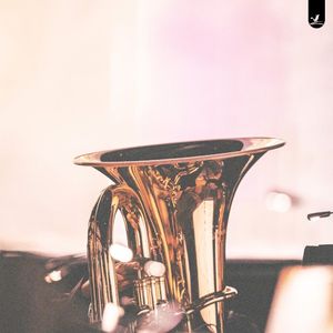 Jazz Nights (Single)