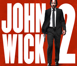 image-https://media.senscritique.com/media/000022832842/0/john_wick_2.png