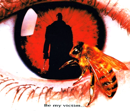 image-https://media.senscritique.com/media/000022832904/0/candyman.png