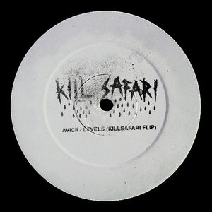 LEVELS (KILL SAFARI FLIP)