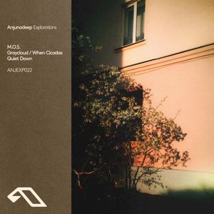 Graycloud / When Cicadas Quiet Down (EP)