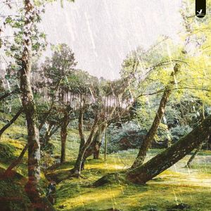 Sudden Rain (Single)