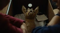 Épisode 4