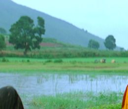 image-https://media.senscritique.com/media/000022836606/0/okkadu.jpg