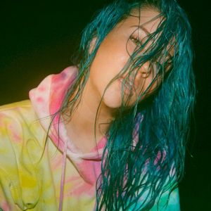 Sweatshirt (Single)