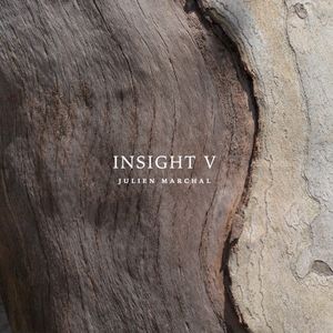 INSIGHT V