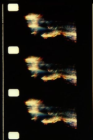 The text of light