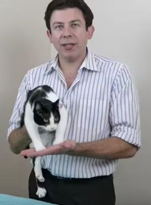 Helpful Vancouver Vet