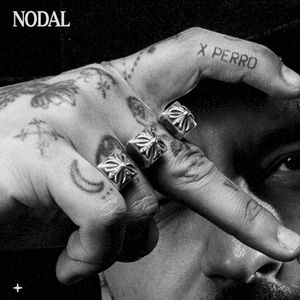 X perro (Single)