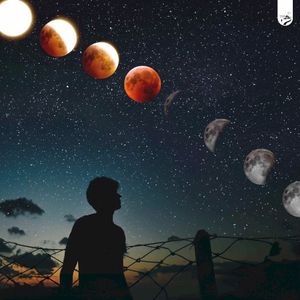 Night Moves (Single)