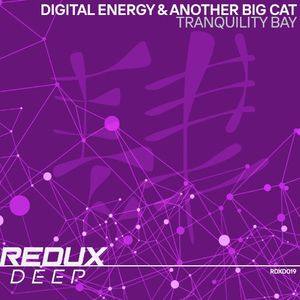 Tranquility Bay (extended mix)