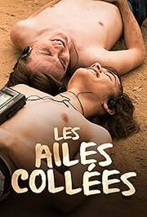 Les ailes collées