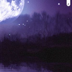 Cloaked in Silence (Single)