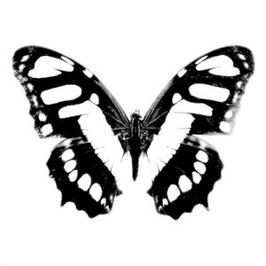 Goodbye Horses (Single)
