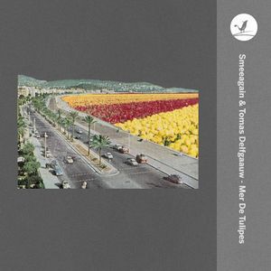 Mer de tulipes (Single)