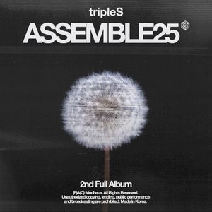 <ASSEMBLE25>