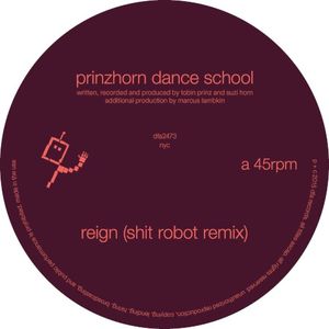 Reign (Shit Robot remix)
